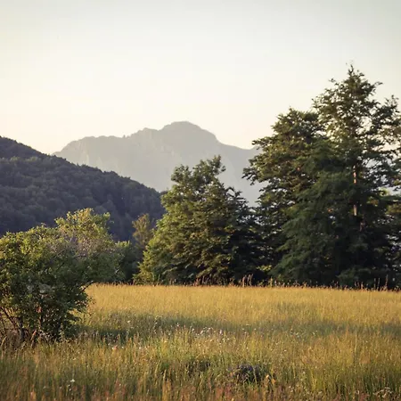 펜션 Cemerno Mountain House
